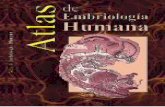 Atlas Embriologia Humana