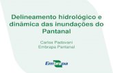 dinamica das inundações no Pantanal.pdf