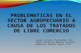 Problematicas en El Sector Agropecuario a Causa de Los Tratados de Libre Comercio (1)