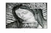 True And Extraordinary Face of the Virgin of Guadalupe