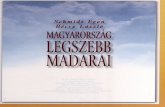 Magyarország Legszebb Madarai