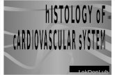 K2- Histologi- Sistem Kardiovaskular