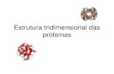 Estrutura Tridimensional Das Proteinas (2)