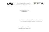 Relatório Capacitor - Física Experimental II