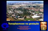 Toxoplasmose Na Gestação 16h_helaine_milanez