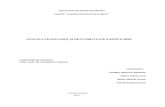 Analiza Financiara Si a Rentabilitatii BRD-1-1
