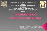 Traumatismo Toraco-Abdominal a Exponer.ppt