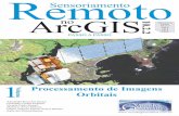 Livro ArcGIS - Processamento de Imagens Orbitais