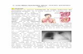 2° Clase Módulo Respiratorio Adulto - Patología respiratoria adulto I.docx