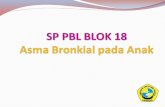 pp blok 18