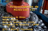 Processamentos de Minerais III