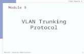 CCNA3 3.1-09 VLAN Trunking