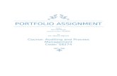 Portfolio Assignment - Auditing Process Management