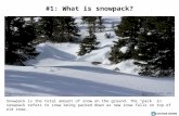 Know your snowpack final