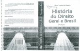 Flávia Lages de Castro - História Do Direito Geral e Brasil