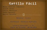 Gatillo Facil (Argentina)