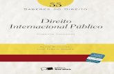 Direito Internacional Publico - - Saberes do Direito.pdf