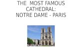 The Most Famous Cathedral, Paris