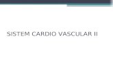 Sistem Cardiovascular II