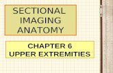 Chapter 6 Upper Extremities