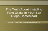 The Truth About Installing Fake Grass in Your San Diego Homestead