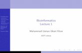 presentation of bioinformatics