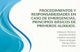 Procedimientos y Responsabilidades en Caso de Emergencias