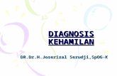 Kp 1.6.3 Diagnosis Kehamilan