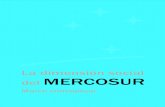 Instituto Social Del MERCOSUR Libro Marco Conceptual