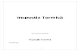 Inspectia termica