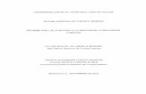 Informe Auditoria a Compras.pdf
