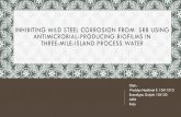K7-Inhibiting Mild Steel Corrosion From Sulfate-reducing Bacteria Using Antimicrobial-producing Biof