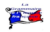 Frances Gramatica