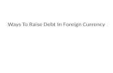 Debt in Foreign Currency