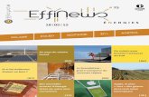 EffiNews Energies n° 75