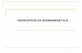 Aula 1 - Princ+¡pios de Bioenerg+®tica - Fabio