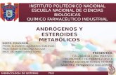 Adrogenos y Esteroides Metabólicos