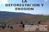 Deforestacion y Erosión