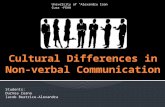Cultural Differences in Non-Verbal Communication