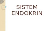 SISTEM ENDOKRIN kelenjar endokrin.pptx
