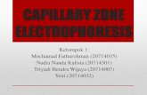Capillary Zone Electrophoresis