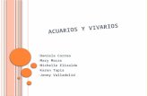 Acuarios y Vivarios