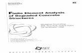 Finite Element Analysis - Degraded Concrete Structures (Csni-r99-1) (1998) WW