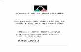 Determinacion Judicial de La Pena y Medidas Alternativas Amag 2012