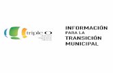 Transición_municipal_2015 (Ministerio de Autonomia)
