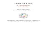 Java Report (1)
