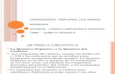 Quimica Organica PERUANA LOS ANDES