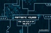 Fantastic Voyage - 'Art Of'