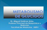 6.) METABOLISMO DE GLUCIDOS 2014 NUTRICION[1].ppt