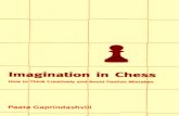 Paata Gaprinadashvili - Imagination in Chess